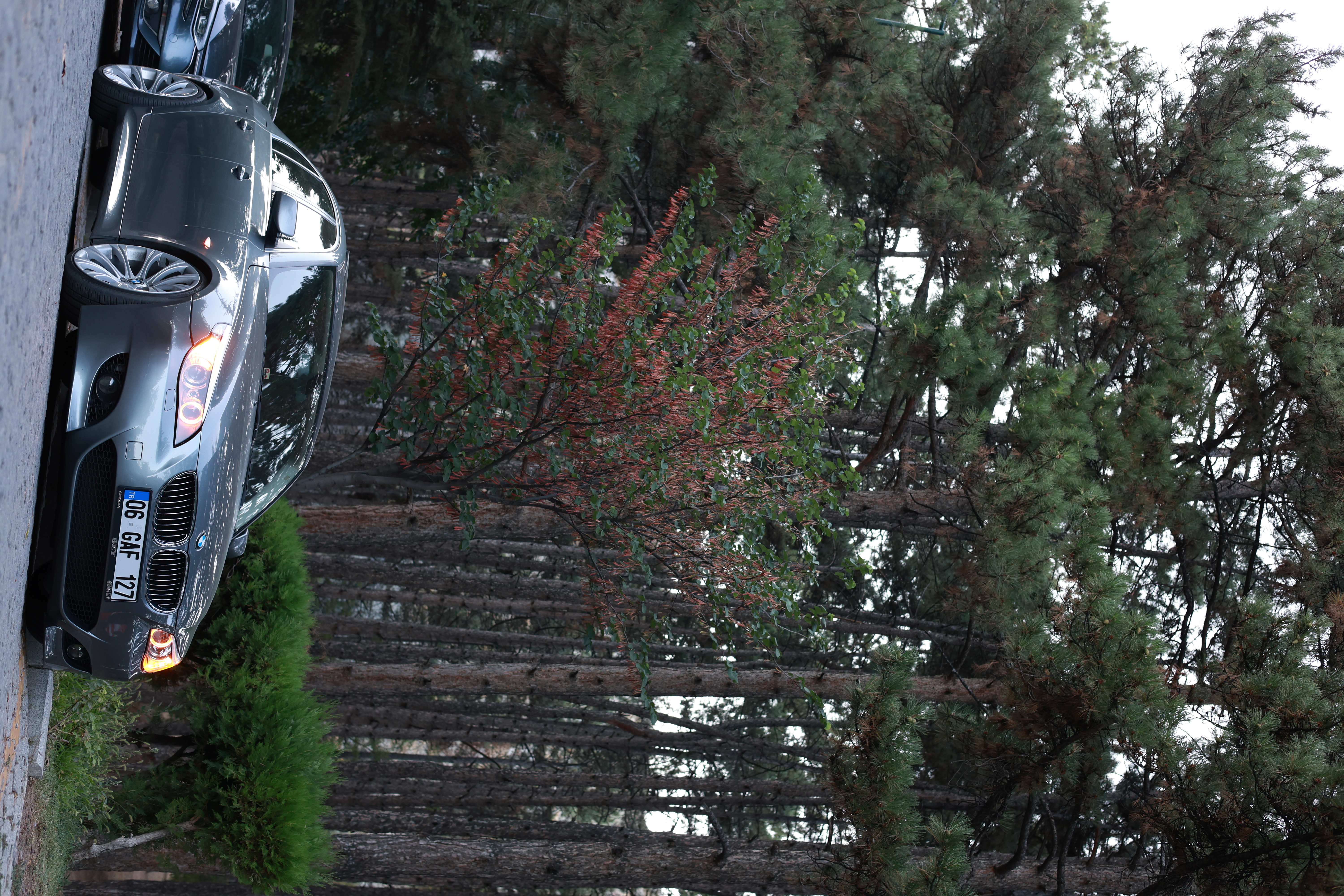 3L6A1724.JPG