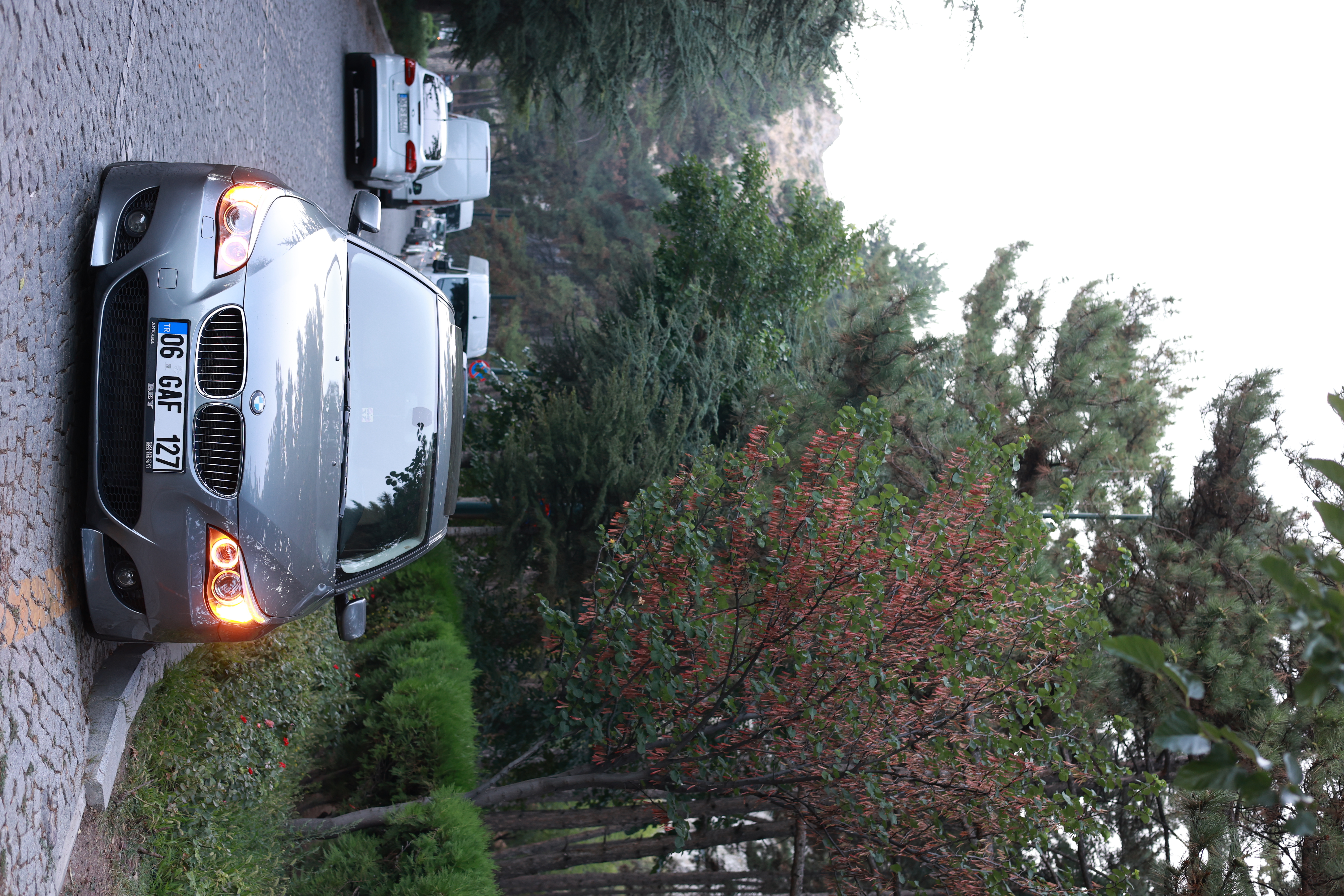 3L6A1729.JPG